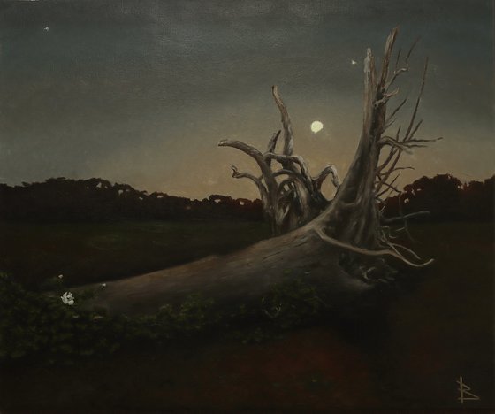 Roots
