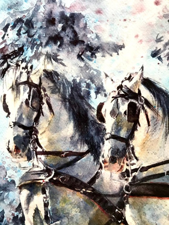 Winter Horses