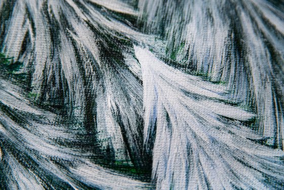 Starry night in winter woods