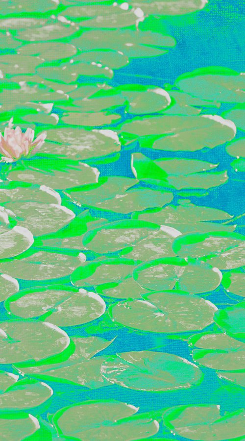 The Waterlilies by Louise O'Gorman