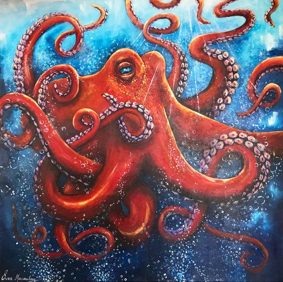 Octopus