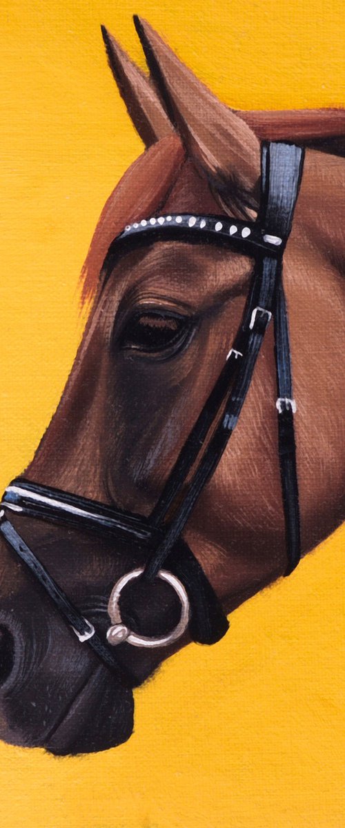 Horse Portrait 110 by Anastasia Parfilo