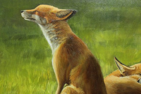 Foxes in the Sun Vol 1