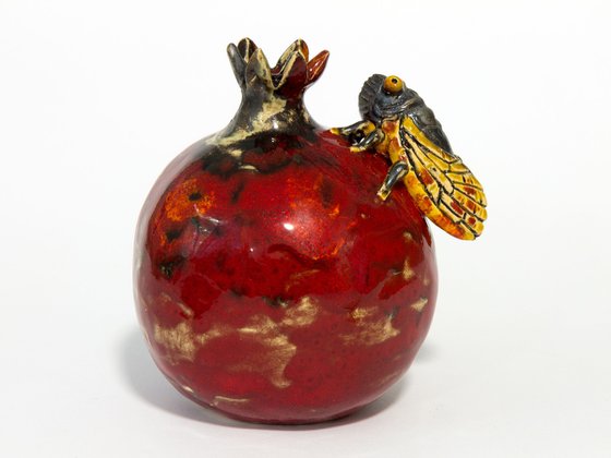 Cicada and pomegranate