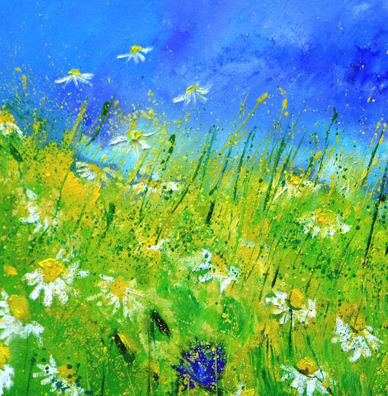 Cornflowers and daisies