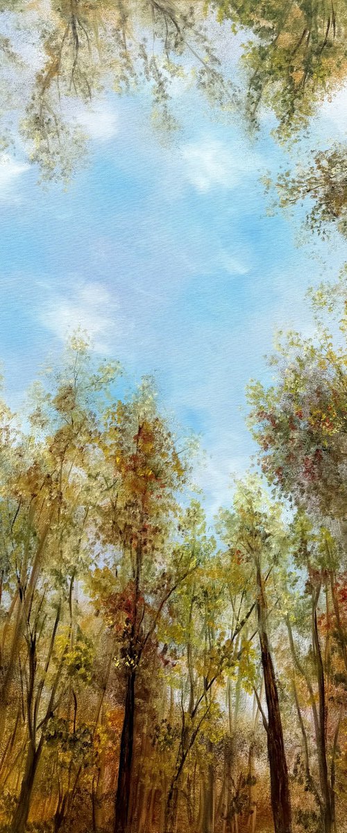 Where the Sky Begins by Tanja Frost