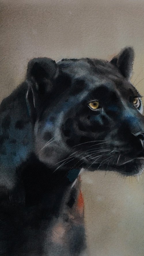 Black leopard by Irina Kukrusova