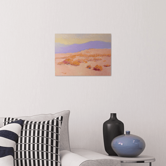 Soft Evening Light