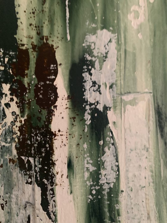 Between Shadows and Pines