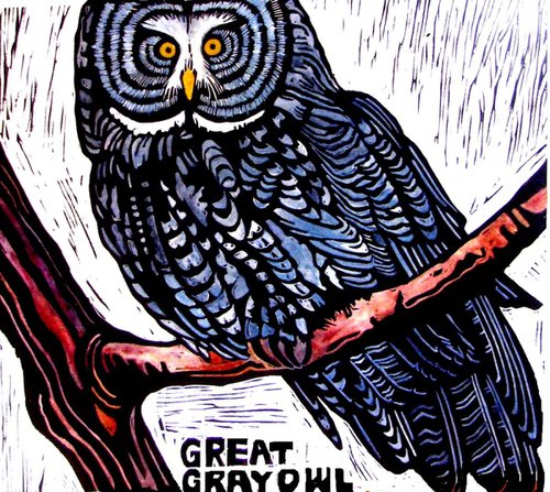 GREAT GRAY OWL by Laurel Macdonald