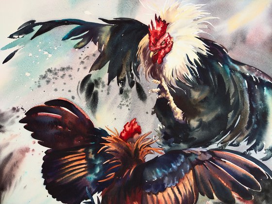 Fight - battle of two roosters