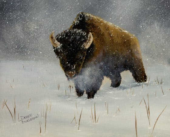Kansas Bison
