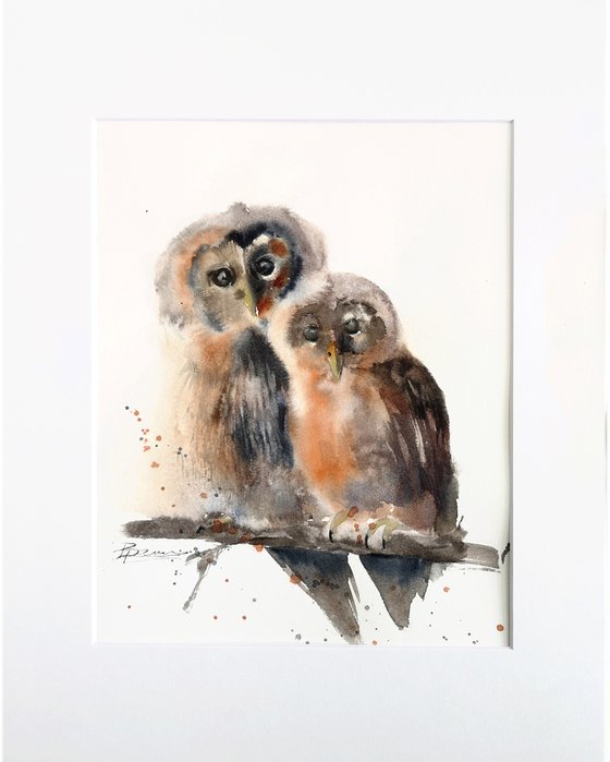 Couple of owl