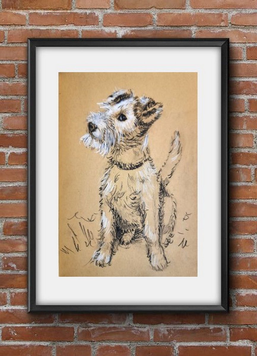 Wire fox Terrier - Pet dog - Charcoal on paper by Asha Shenoy