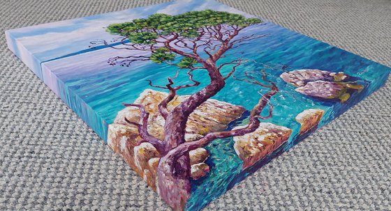Cypress By The Sea
