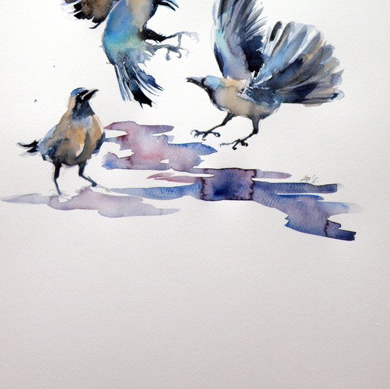 Crows