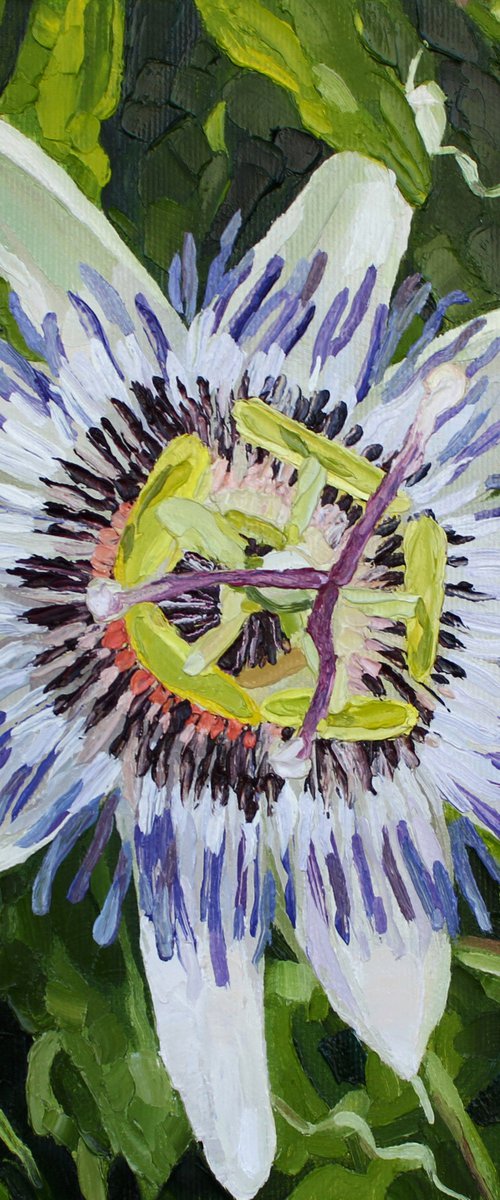 When the passion blooms by Ulyana Korol