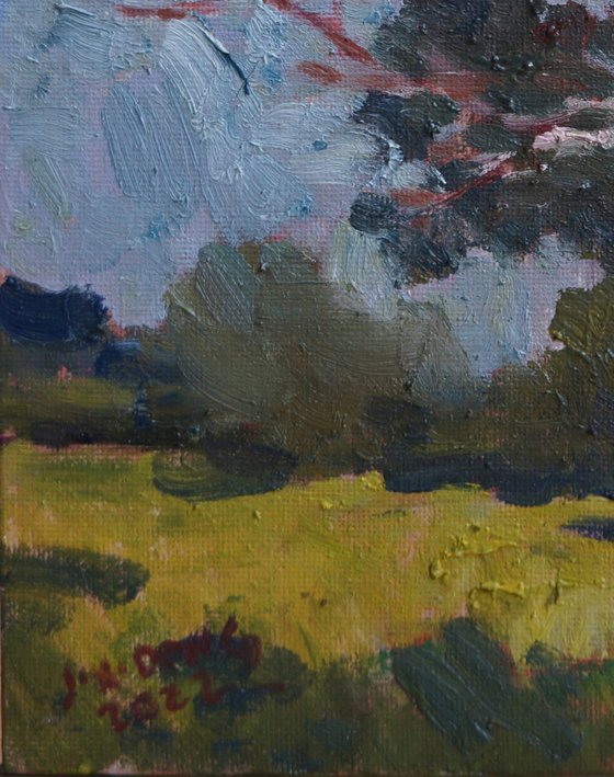 Original Oil Painting Wall Art Signed unframed Hand Made Jixiang Dong Canvas 25cm × 20cm Landscape Trees in the Wind South Park Oxford Small Impressionism Impasto