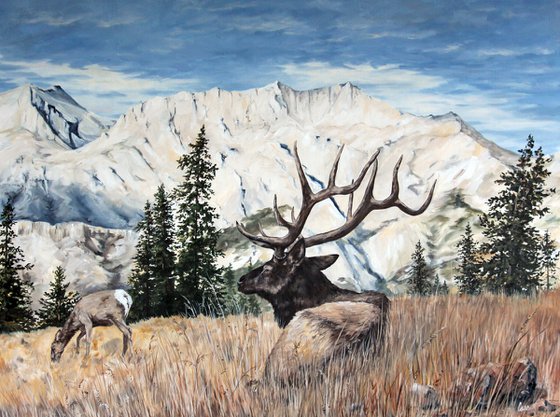 Landscape - Elk - Mountains - "The Golden Hour"