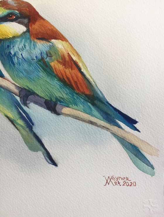 Bee-eats birds