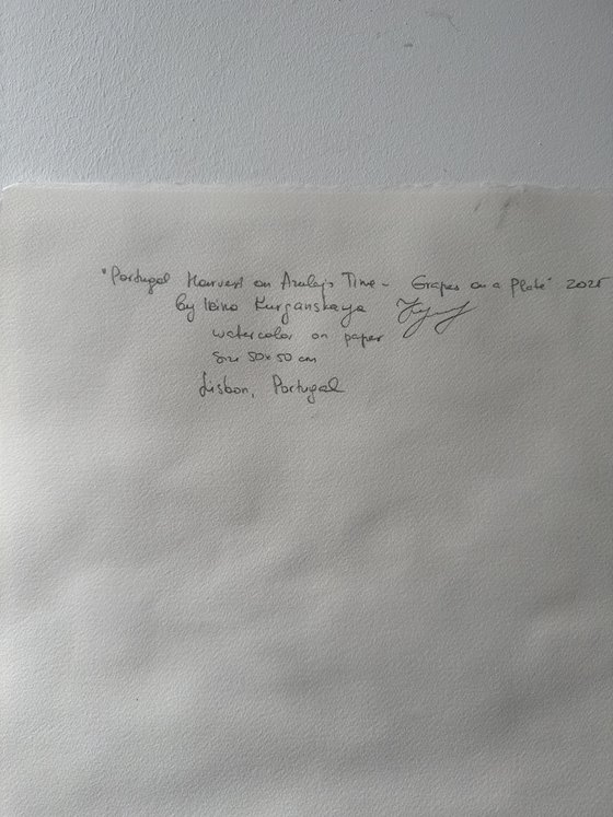 Portuguese Harvest  - Grapes