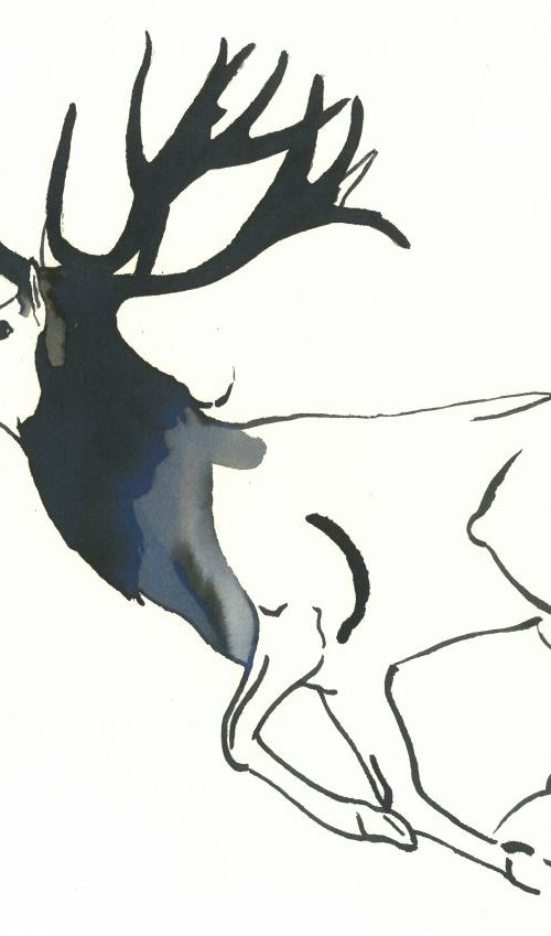 Deer I Animal Drawing by Ricardo Machado