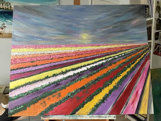 Rainbow Harvest - Tulip fields of Lisse