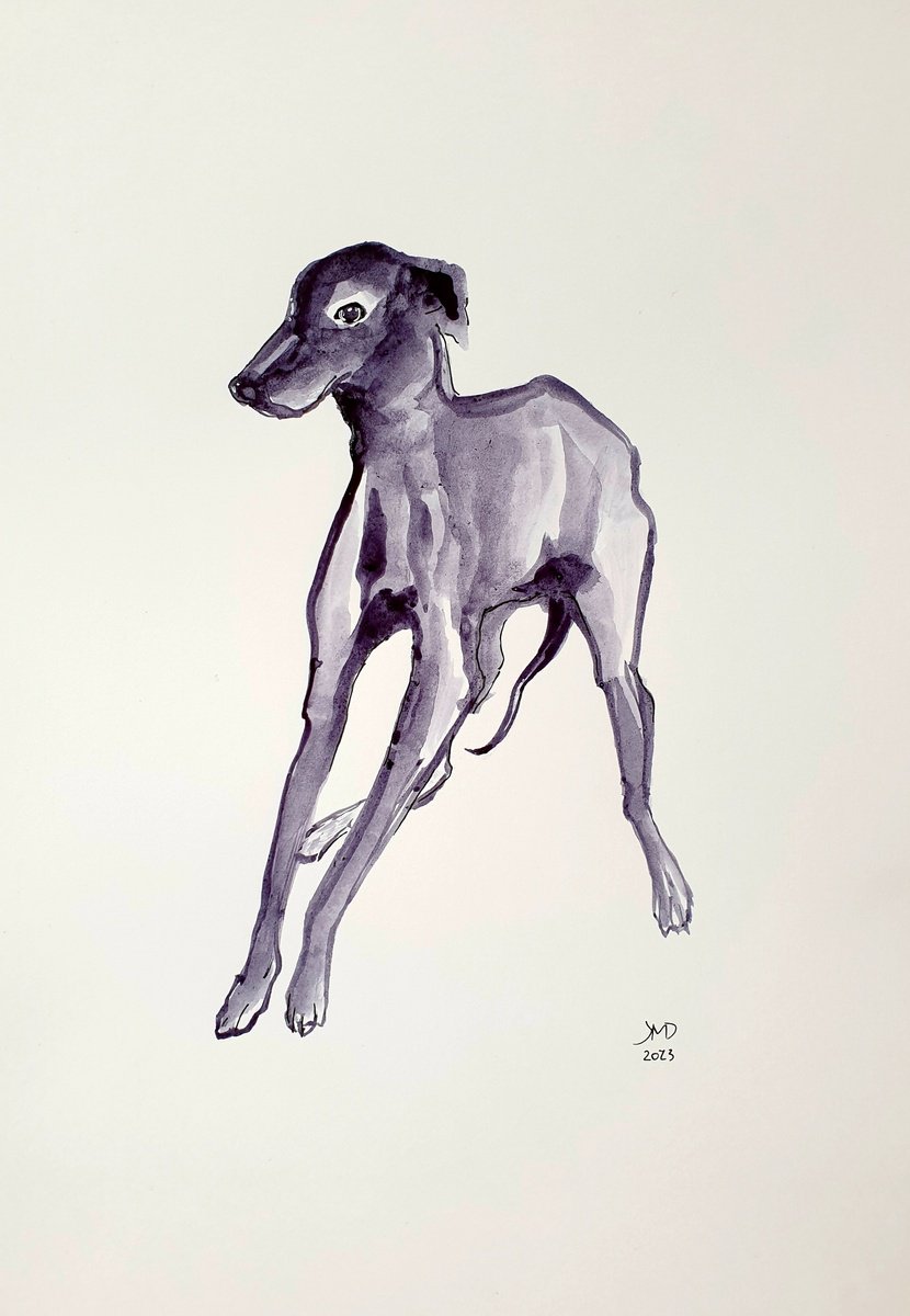 Grayhound by Ksenia June