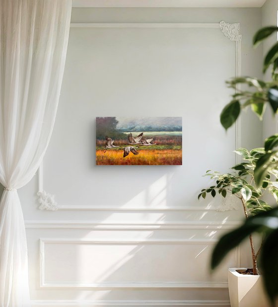 Warm rain through sunlight