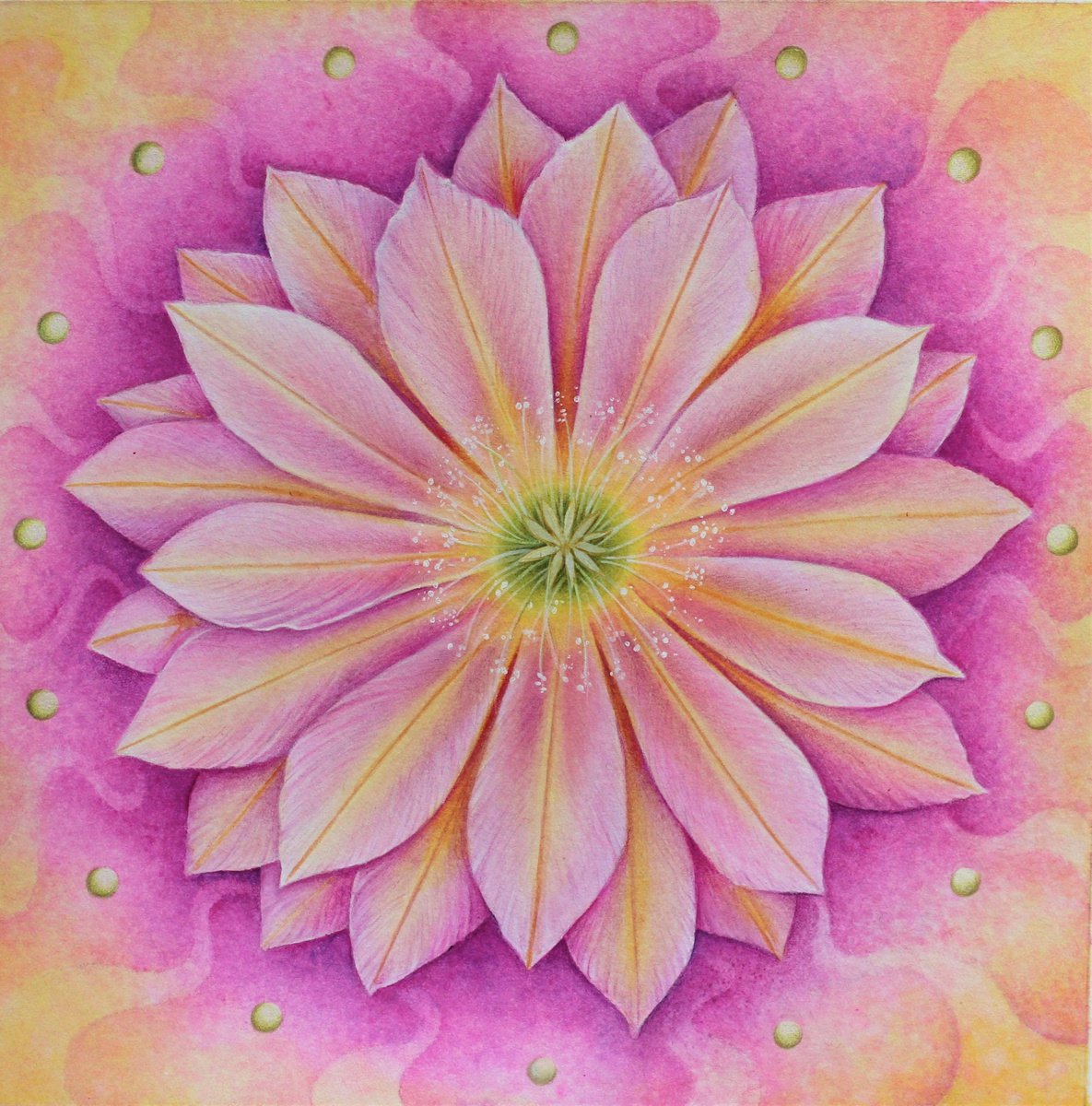 Flower Power by Lorraine Sadler