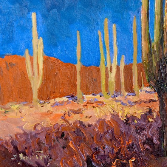 Shadows of the Southwest