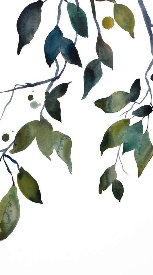 Branch Study No. 32 by Elizabeth Becker