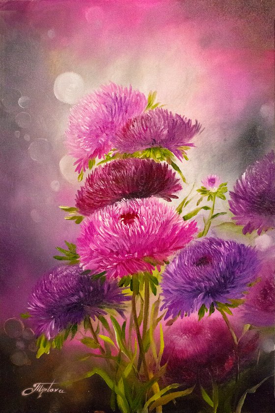 Purple and pink Flowers. aster flowers.