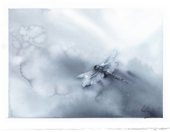 Glimpse - Dragonfly