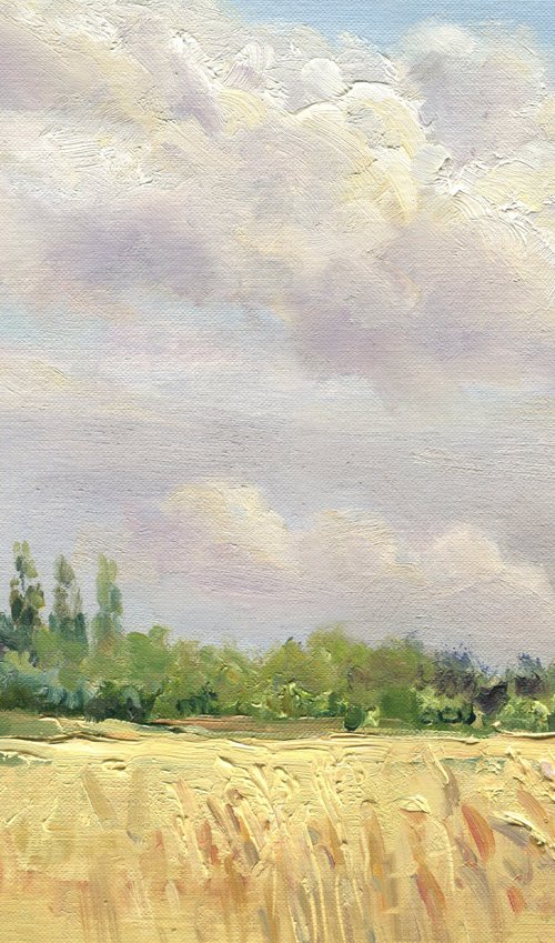 A field behind gardens / ORIGINAL oil painting. Plain air summer landscape ~ 14x10in (35x25cm) by Olha Malko