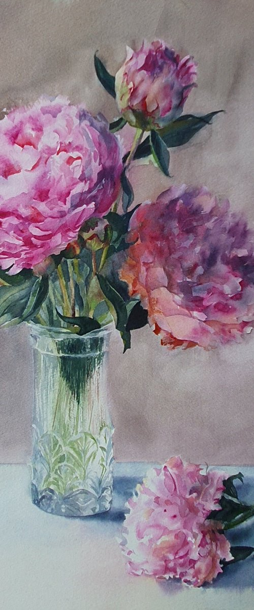 Blush of peonies by Natasha Sokolnikova