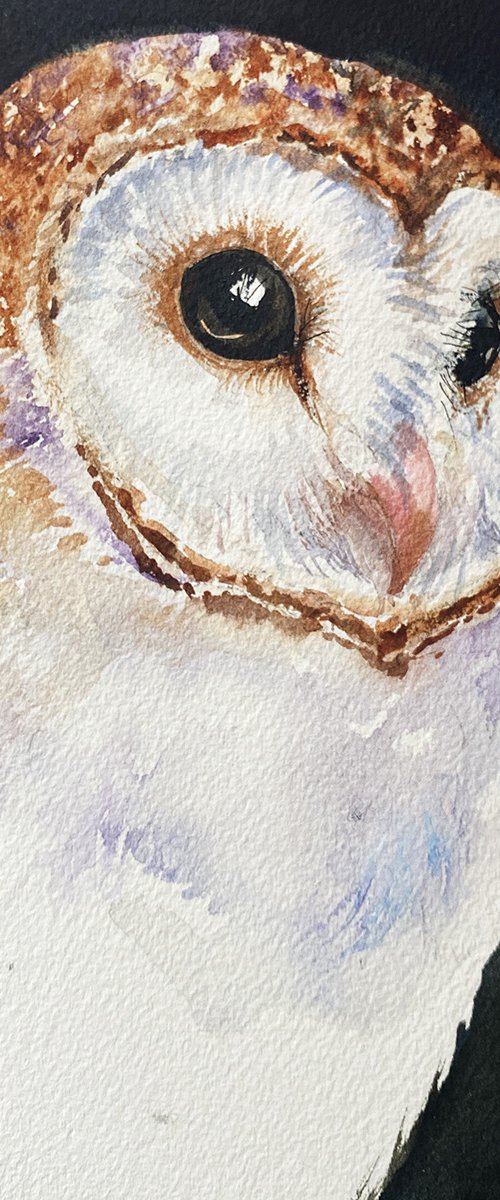 Tammy_ Barn Owl by Arti Chauhan