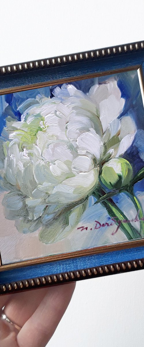 Peony flower white by Nataly Derevyanko