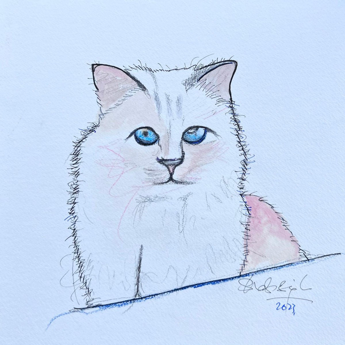 Choupette 1 by Shabs  Beigh