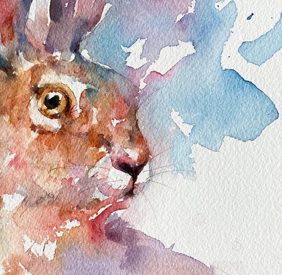 Marlow the Hare