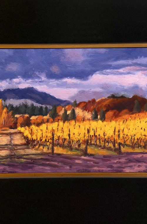 Mountain Vineyard by Daniel Fishback