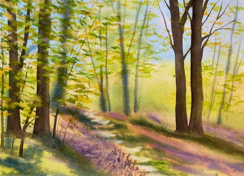 Spring in the woods by Silvie Wright