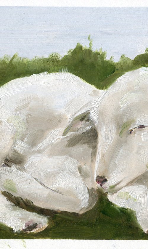 Sheep 3 by Anja Rudko