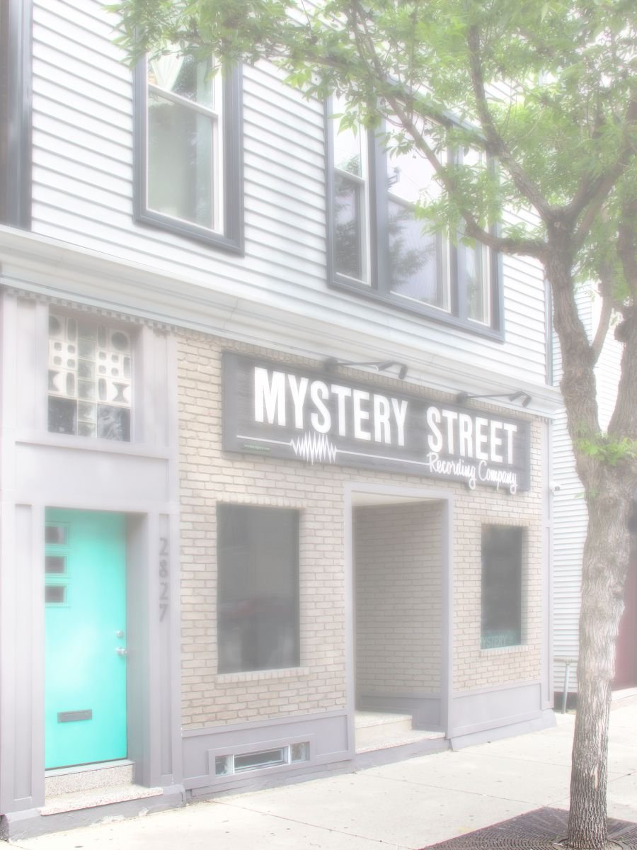VEILED MYSTERY Chicago IL by William Dey