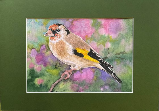 Goldfinch