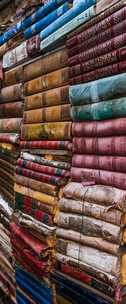 Acqua Alta by Gilliard Bressan