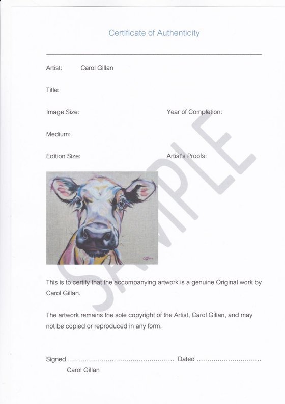 Luna - White cow original oil painting