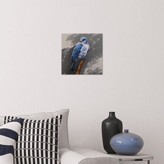 Blue Jay’s Vigil