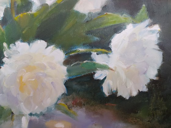 Peonies on the table