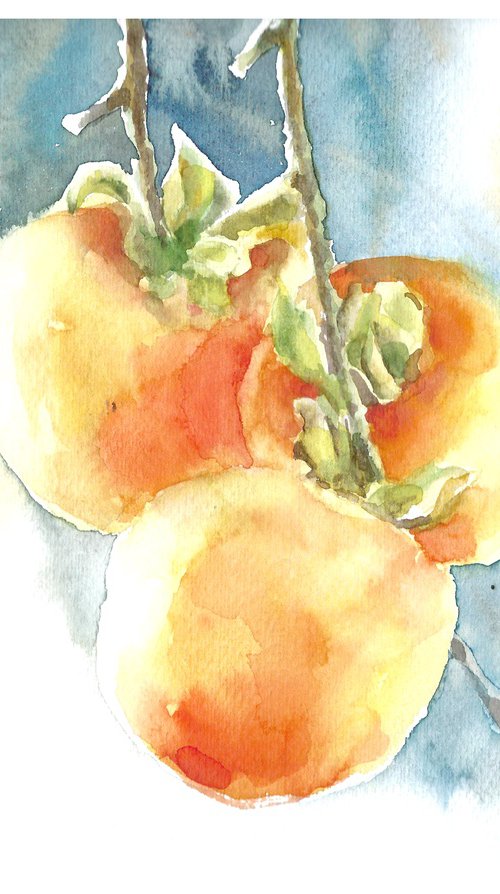 Persimmon fruit watercolor illustration by Tanya Amos